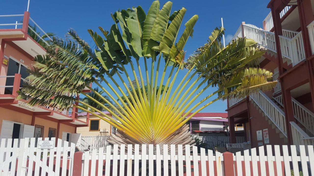 Caye Caulker Condos Exterior photo